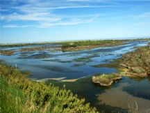 RSPB Titchwell Marsh