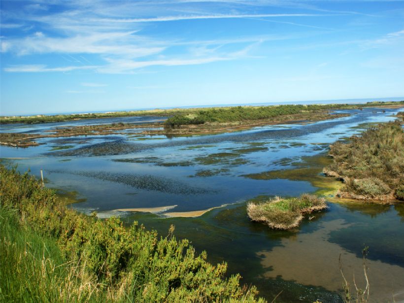 RSPB Titchwell Marsh